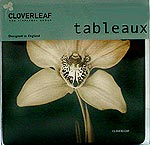 Royal Doulton Ebony Orchid Coasters x 4