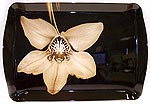 Royal Doulton Ebony Orchid Tray