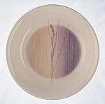 Royal Doulton Large Pasta / Salad Bowl