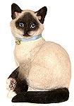Royal Doulton Siamese Kitten Sitting - Brown & Cream