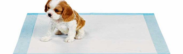 RSPCA Puppy Training Pads - 30 Pack