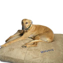 rucomfy faux suede pet lounger