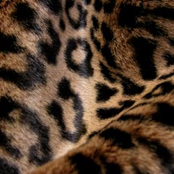 rucomfy Leopard Small Didibag Small faux fur beanbag