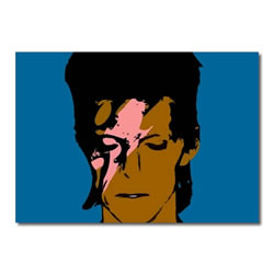 rucomfy Ziggy Stardust Canvas