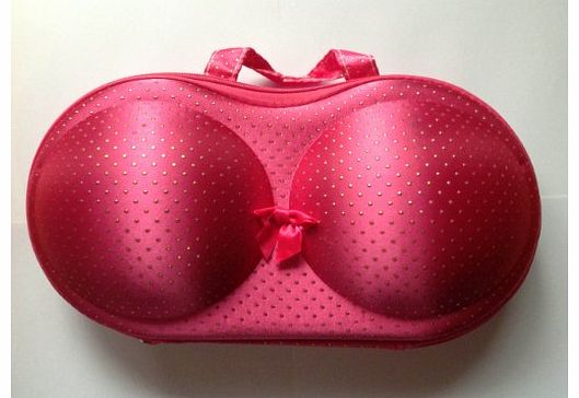 ruili Lyceem Portable Protect Bra Underwear Lingerie Case Travel Organizer-Lace (color4)