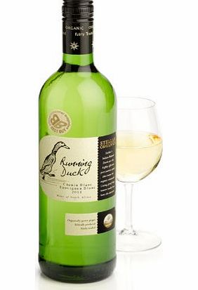 Chenin Sauvignon Blanc White Wine