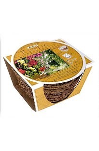 Rustic Hanging Basket Kit