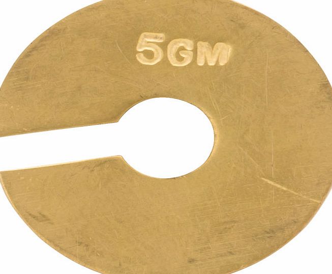 RVFM Brass Plated Slotted Masses 20g P10185/3