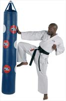 RYKO 5Ft Strike Bag