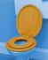 Wooden Family Toilet Seat Antique Pine