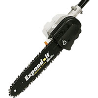 RYOBI Expand-It Pruner Attachment