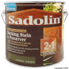 Sadolin Exterior Forest Green Decking Stain and