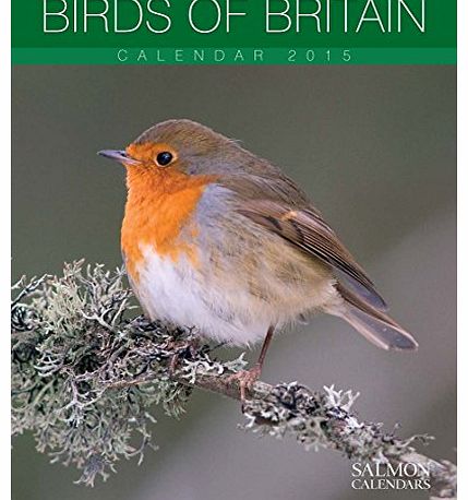 Birds Of Britain Medium Wall Calendar 2015