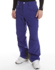 Salomon Mens Brilliant Pant - Asteral