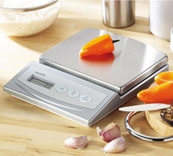 Salter 6055 Stainless Steel Kitchen Scale