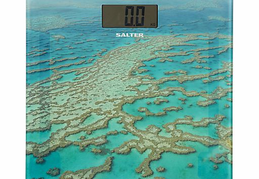 Salter Odyssey Bathroom Scale
