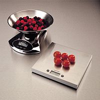 Salter Stainless Steel Add & Weigh Electronic Scales