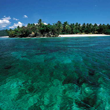 Samana Bacardi Island - Adult