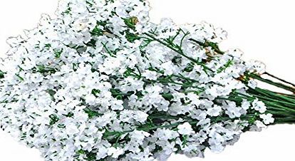 Samgu  Lifelike Artificial Flower White Artificial Silk Flowers Babys Breath Gypsophila Plants For Wedding Party Decoration DIY Home Garden 10PCS/lot