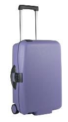 Cabin Collection Upright 55 Cabin Case -