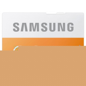 32GB EVO SDHC UHS-I Grade 1 Class 10