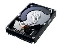 750GB hard disk drive RAID HDD Spinpoint F1 RAID Class SATA II 300 7200rpm 32MB cache oem HE753LJ wi