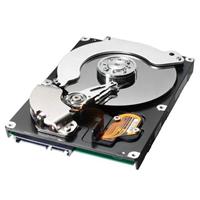 750GB Spinpoint F1 SATA II 300 7200rpm 32MB Cache Hard Disk Drive oem (Manufacturer` 3yr Warranty)