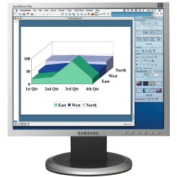 Samsung Height-Adjustable 17`` Analogue Monitor