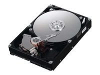 SpinPoint F1 HD103UJ - hard drive - 1 TB - SATA-300