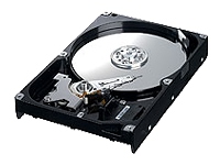 Samsung SpinPoint S166 HD161HJ - hard drive - 160 GB - SATA-300