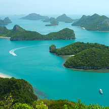 SAMUI Island Cruise - Adult