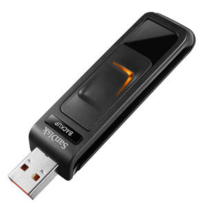 SanDisk Ultra Backup 8GB USB Flash Drive