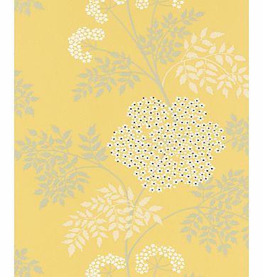 Sanderson Cow Parsley Wallpaper, DOPWCO105,