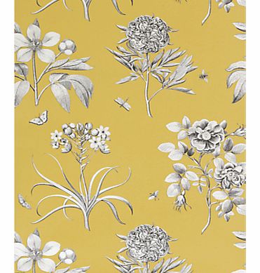 Sanderson Wallpaper, Etchings and Roses