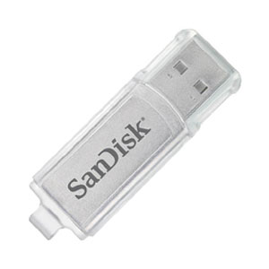 SanDisk 1GB Cruzer Micro Skin USB Flash Drive