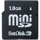 Sandisk 1GB Mini SD Card