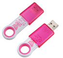 SanDisk 2GB Cruzer Fleur Pink USB Flash Drive