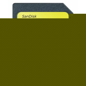 32GB Extreme SD Card (SDHC) 45MB/s -