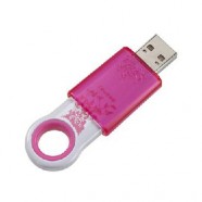 SanDisk 4GB Cruzer Fleur Pink USB Flash Drive