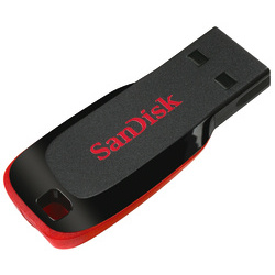 Sandisk Cruzer Blade USB Flash Drive - 2GB