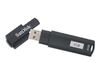 SanDisk Cruzer Enterprise - USB flash drive - 8 GB