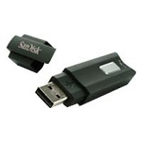 Sandisk Cruzer Enterprise 2GB USB Flash Drive