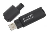 SanDisk Cruzer Enterprise USB 2.0 Flash Drive - 1GB