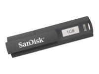 SanDisk Cruzer Enterprise USB flash drive 1 GB Hi