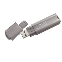 Sandisk Cruzer Professional 1GB