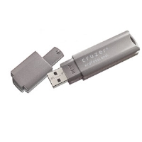 CRUZER PROFESSIONAL 4GB USB KEY