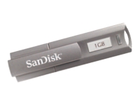 SanDisk Cruzer Professional USB flash drive 1 GB Hi