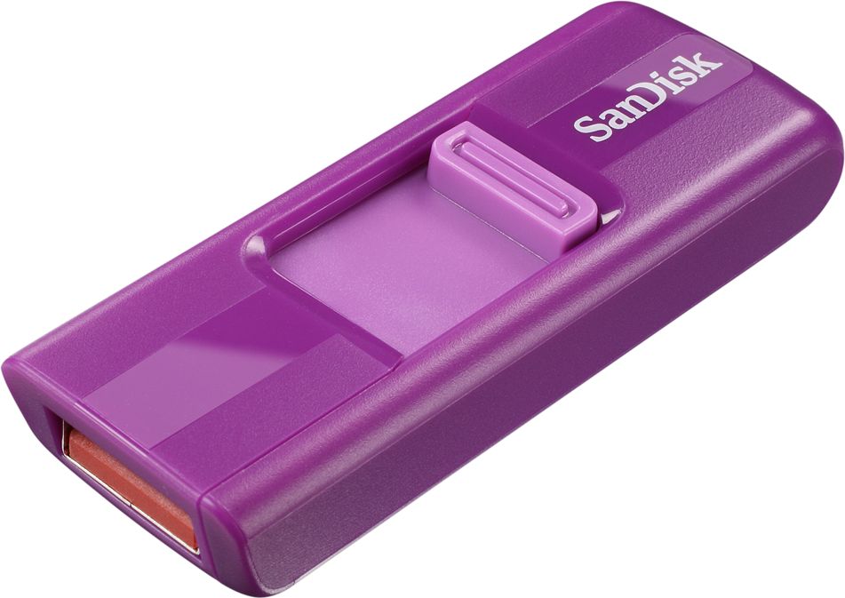 SanDisk Cruzer USB Flash Drive (Purple) - 8GB