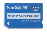 The 1GB SanDisk Memory Stick PRO Duo can be used in Sony cameras and Sony PSP with a PRO adapter and