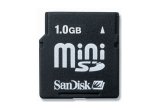 SanDisk Mini SD Card - 1GB